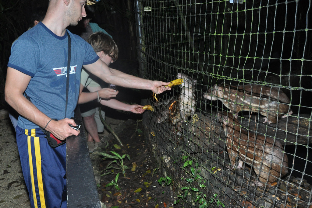 Belize Zoo Night Tour