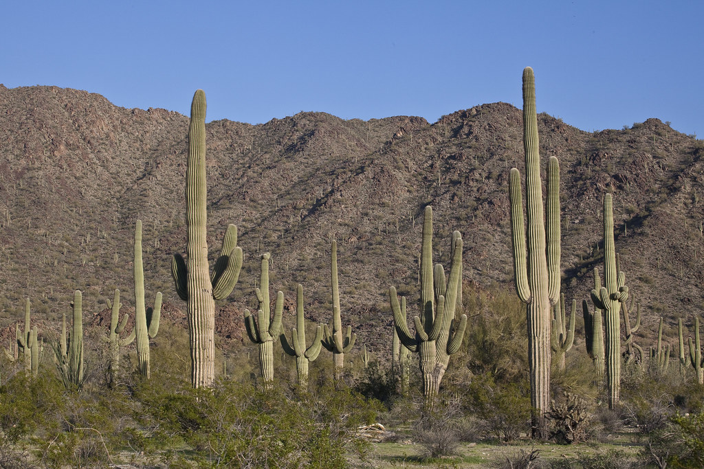 Big Horn Mountains Wilderness