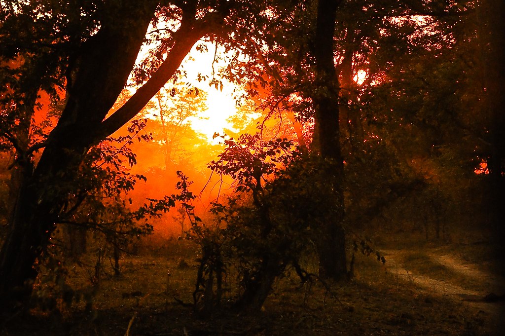 Botswana Okavango Delta