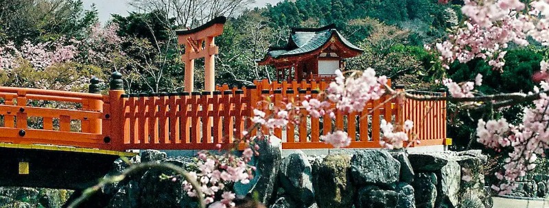 Day Trips from Osaka