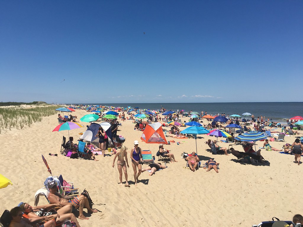 Cape Henlopen State Park Beach Lewes Delaware