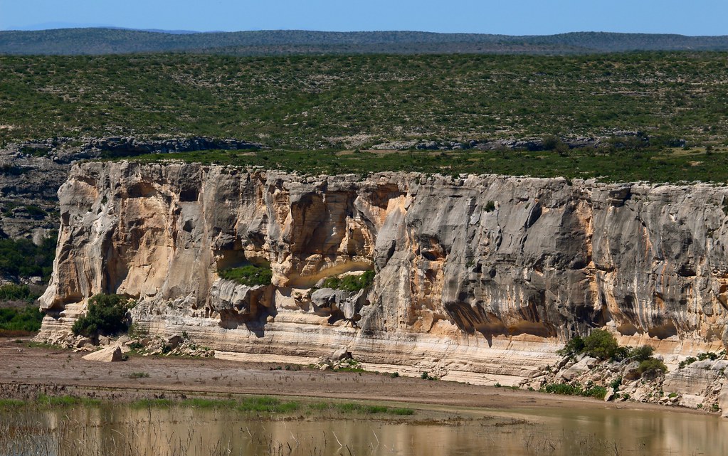 Georgetown Limestone near Lake Amistad, near Del Rio TX