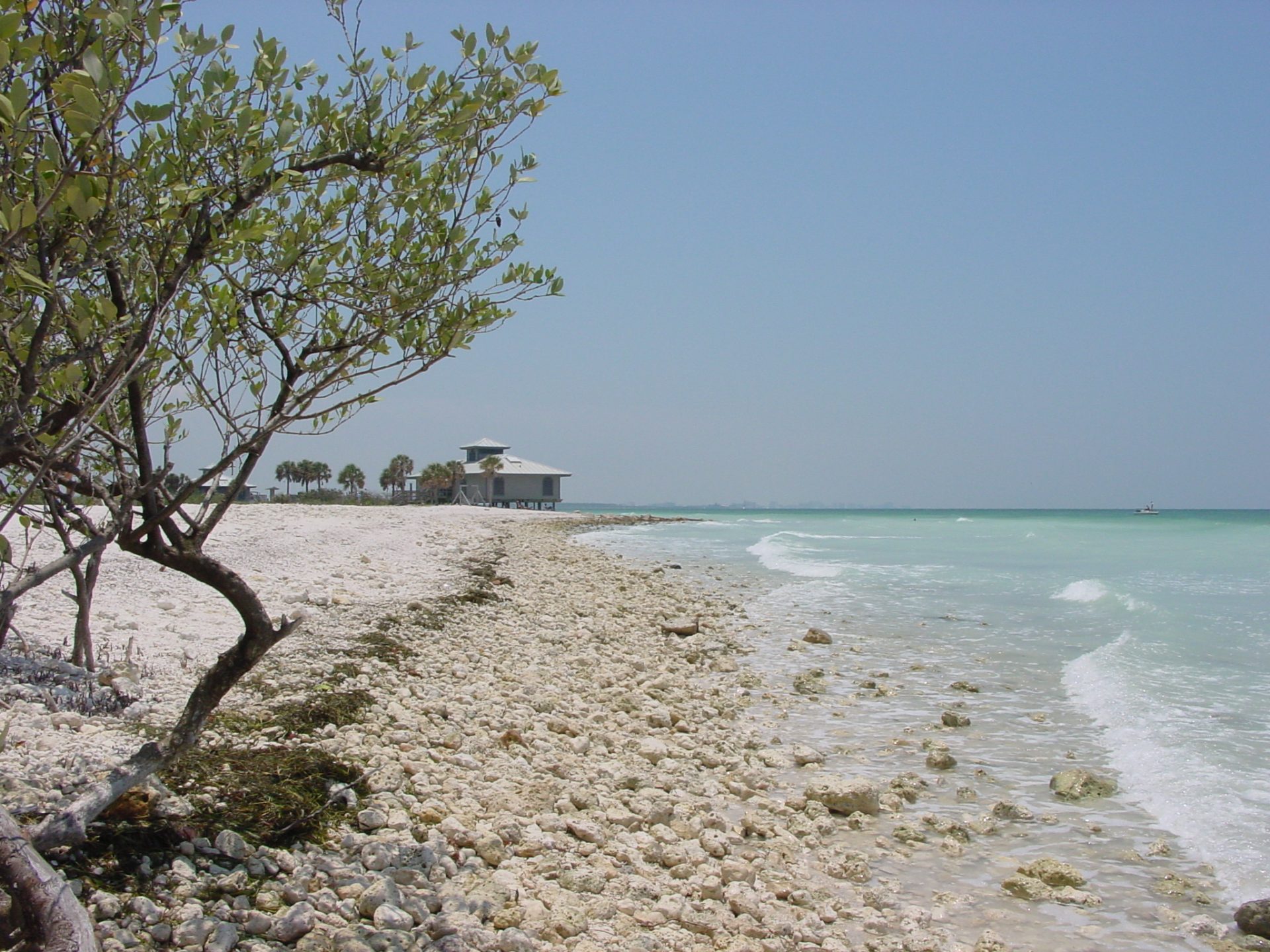 Honeymoon Island State Park