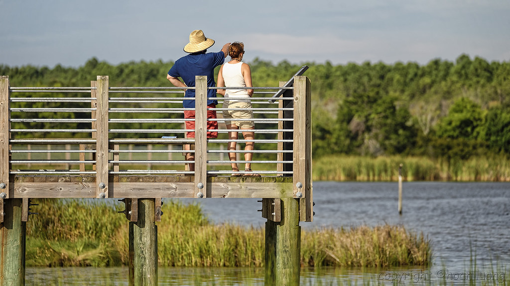 Boardwalk above the salt marsh - Huntington Beach State Park