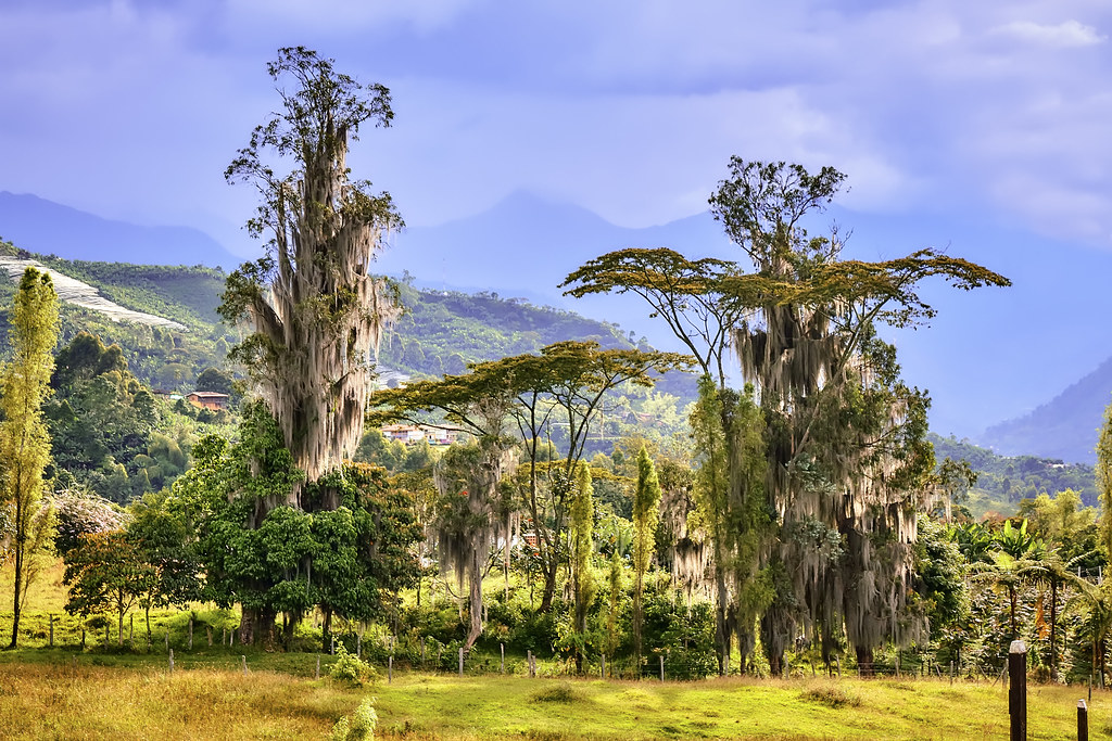 Jardin, Colombia