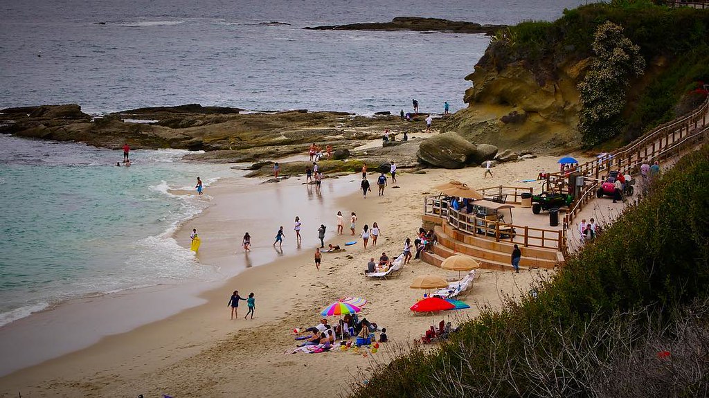 More from today at Treasure Island Beach in Laguna Beach