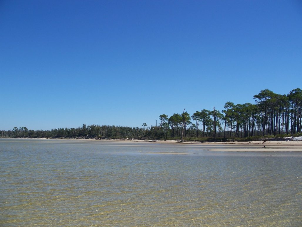 Live Oaks north part water south