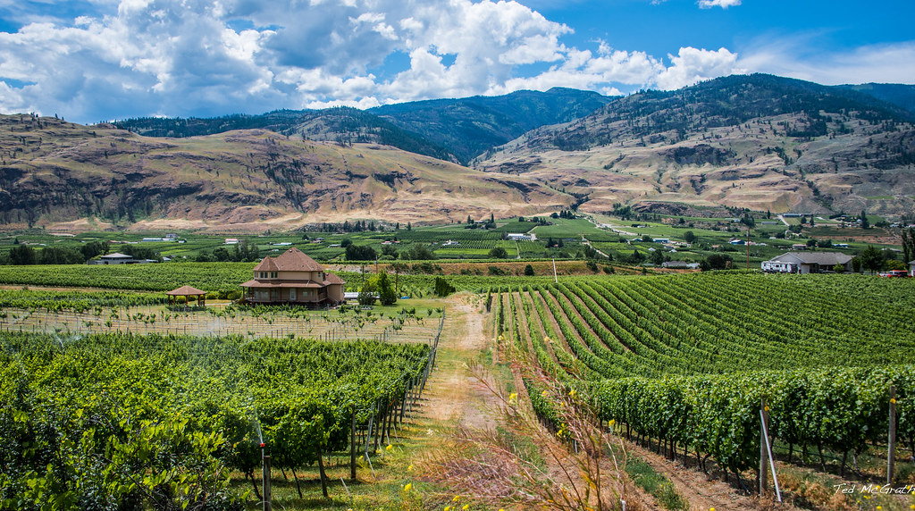 Osoyoos - Vineyards of the Okanagan Valle