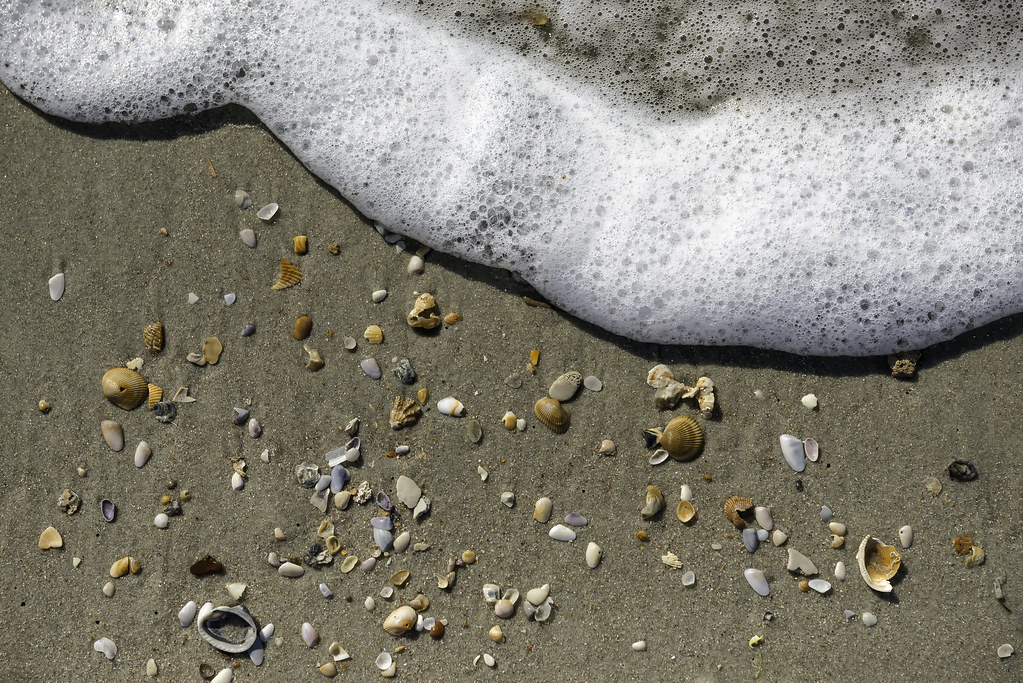 North Litchfield Beach (Pawley's Island, South Carolina)