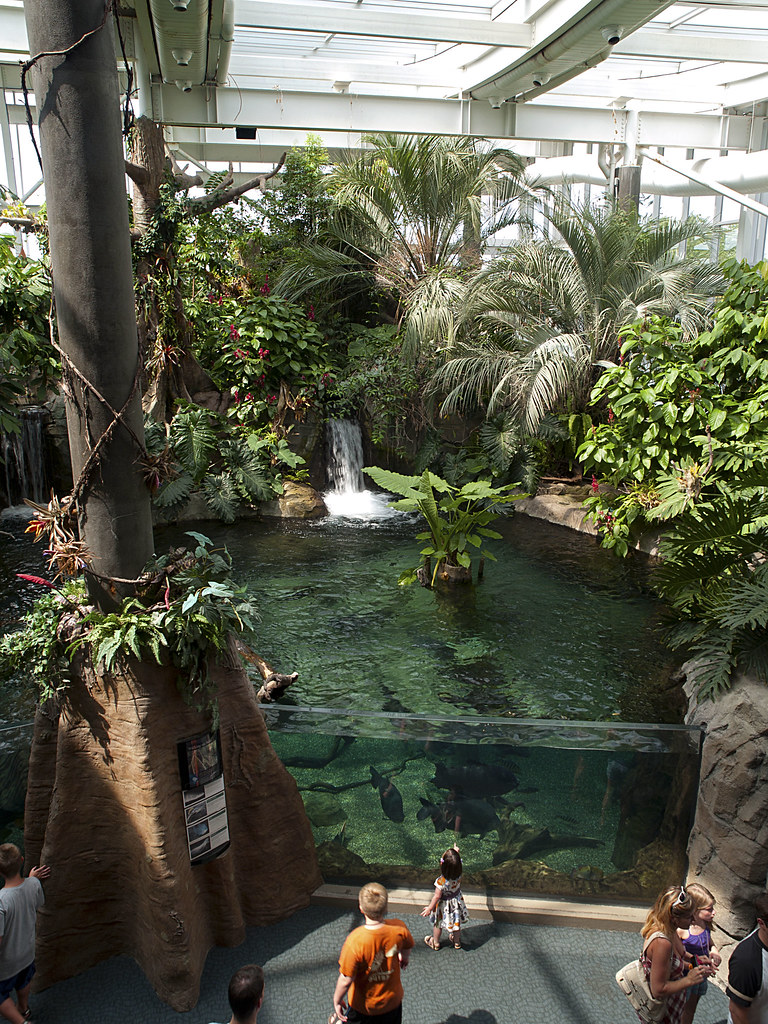 Pittsburgh Zoo PPG Aquarium Waterfall