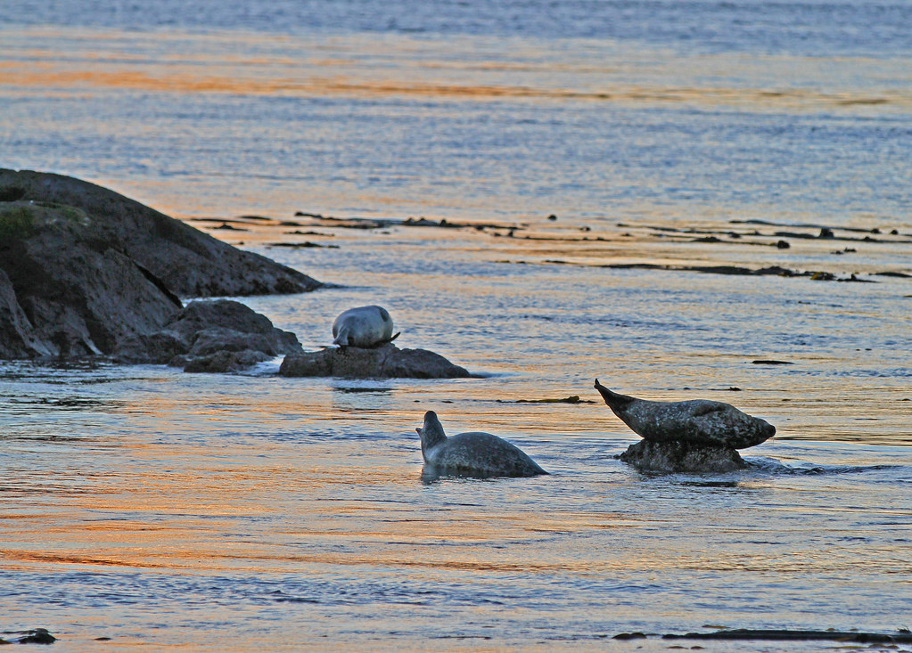 San Juan Islands National Monument