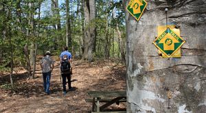 Voorhees Preserve in Virginia