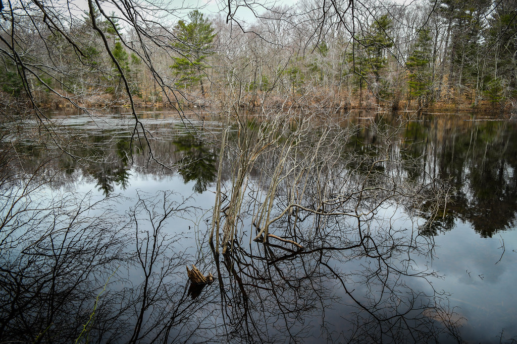 10 Minute Walk in Wompatuck State Park