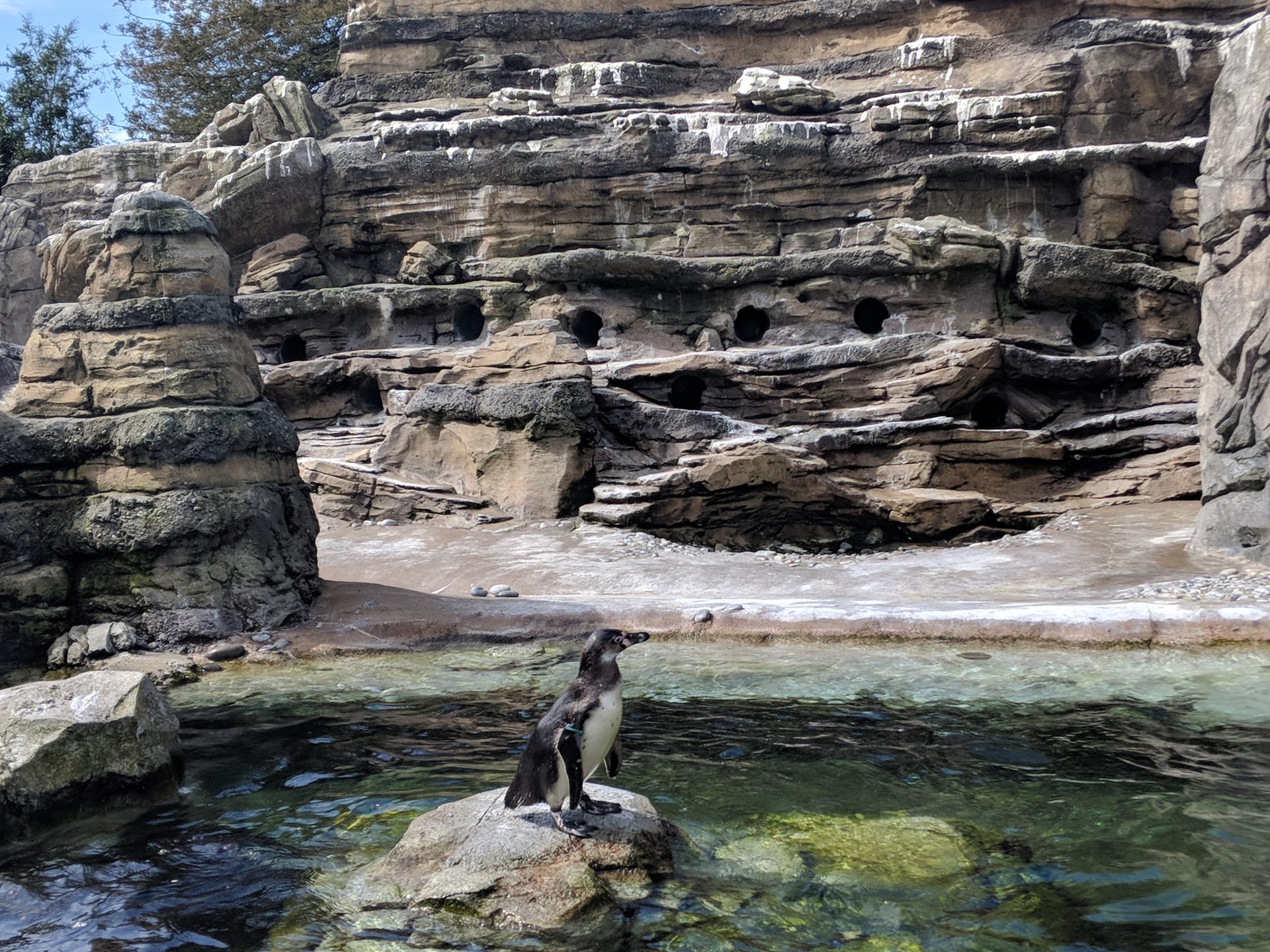 Woodland Park Zoo