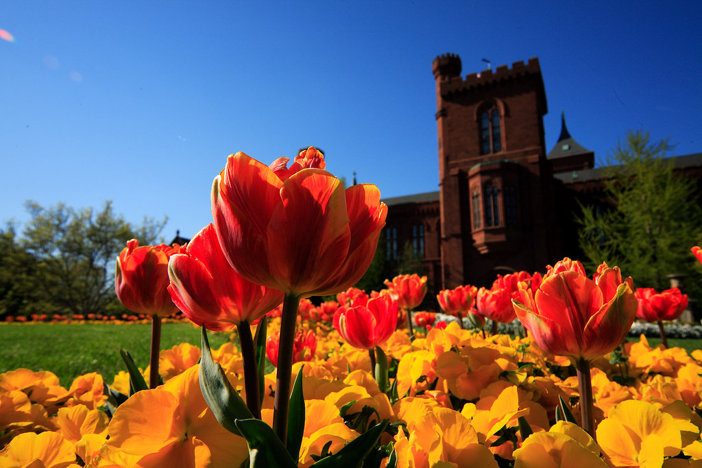 Smithsonian Castle