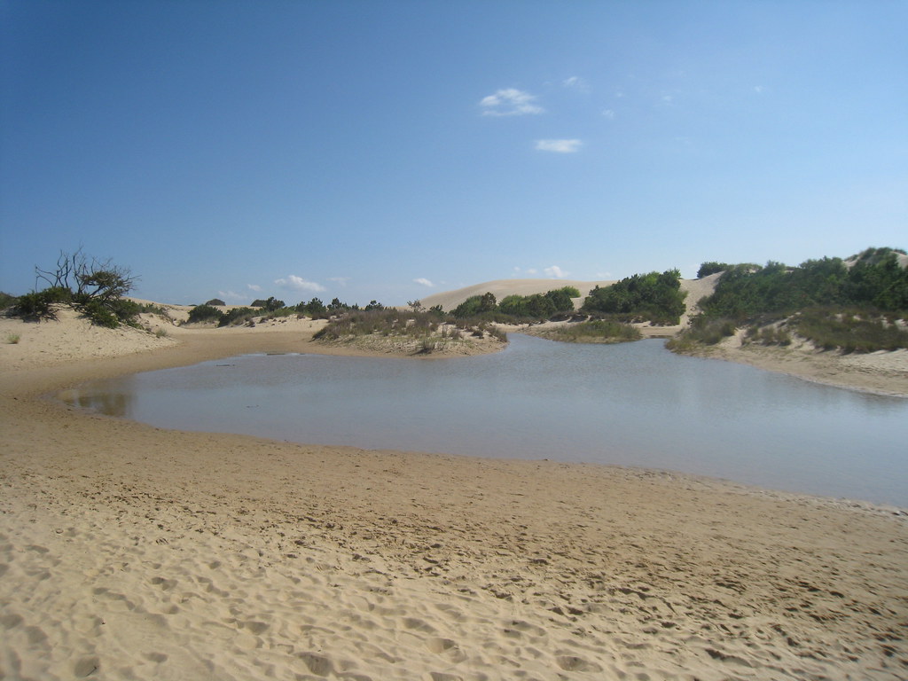 Jockey's Ridge State Park